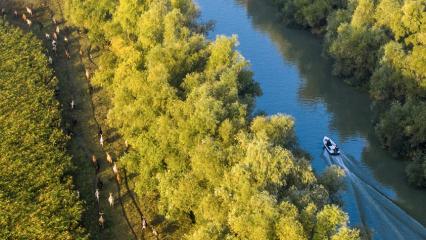 Danube Delta
