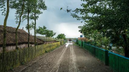 DSC05559_7-Documentary_3-stelute